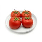 Brightfarms Tomato (1 Pack) Approx. 500g