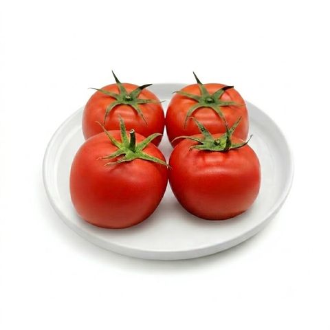 Brightfarms Tomato (1 Pack) Approx. 500g