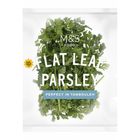 [Shelf life: 2 days or below] Flat Leaf Parsley 2929