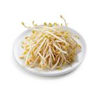Brightfarms 芽菜 (1包) 約300克