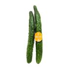 Mr. Vegetable Prepack Green Cucumber (China) 1 Pack