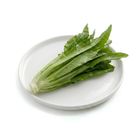 Brightfarms Baby Indian Lettuce 1 Pack Approx. 250g