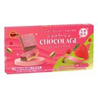 Bourbon Berry & Pistachio Flavor Chocolate 45g [Parallel Import]