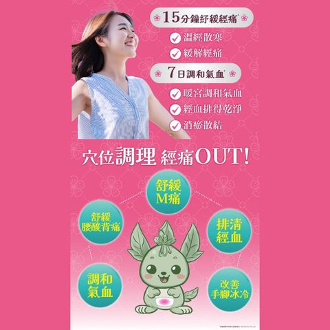 Healthall Heat & Herbal Therapy Patch (Menstrual Pain) 4 Pieces