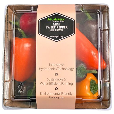 (Hydroponic) Aqua Green Mini Sweet Pepper 1 pack approx. 225g