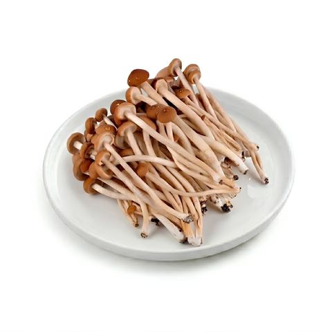 brightfarms Tea Plant Mushroom (1 Pack) Approx. 200g