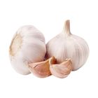 Brightfarms Garlic (1 Pack) Approx. 120g