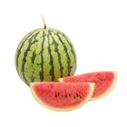China 8424 Watermelon 1 pc approx. 2000g