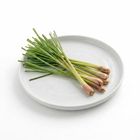 Thailand Tropical Premium Lemongrass approx 150g