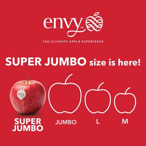 Chile Giant Envy Apple 1pc