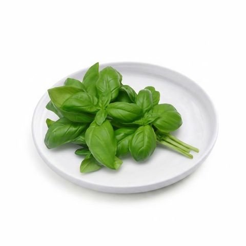 Kenya Basil (1 Pack) Approx. 20g
