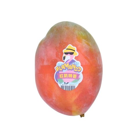 China Red Keitt Mango 1 Piece