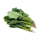 Brightfarms 菠菜苗 (1包) 約250克