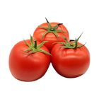 Brightfarms Tomato (1 Pack) Approx. 500g