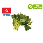 (本地有機) 藍妹 蕃薯苗   1包 約300克