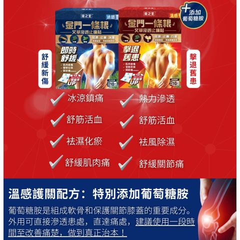Healthall Chinese Herbal Pain Relief Patch (Hot Warming) 10pcs