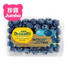 中國 Driscroll 超級珍寶藍莓 1盒 約200g (22mm+)