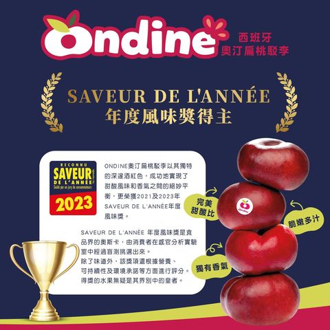Ondine Spain Flat Nectarine (1 Pack) Approx. 500g