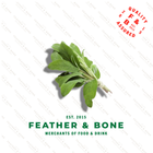 Herbs Sage 1 Pack