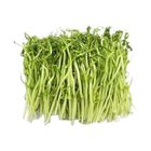 Brightfarms Bean Sprouts 1 Pack approx. 200g