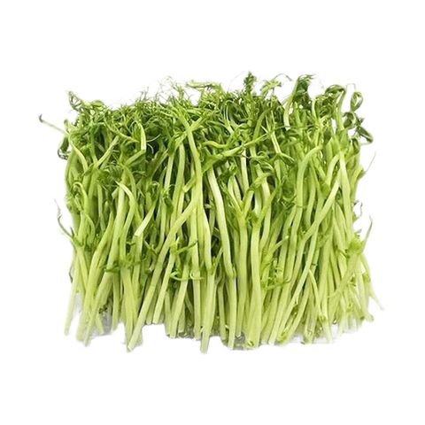 Brightfarms Bean Sprouts 1 Pack approx. 200g