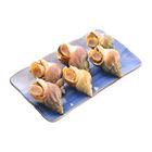 Quickly Frozen Canadian Cooked Jade Snails Bag 454g (88180431)