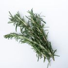 Herbs Rosemary (1 Pack) 20g