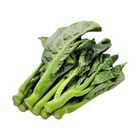 Brightfarms Kai Lan (1 Pack) Approx. 280g