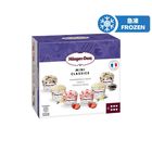 Häagen-Dazs 經典迷你組合 6X75ml毫升