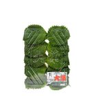 Japan Beefsteak Plant (Oba Herb) Approx. 100g