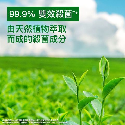 Dettol Natura Multi-surface Antiseptic Liquid 1L