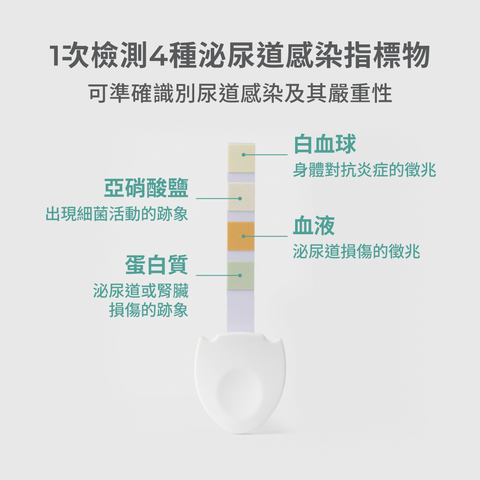 妥析 尿道炎特闊試紙 2個