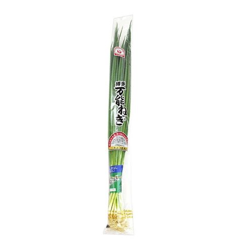 Japan Hakata Spring Onion (Naganegi) Approx. 350g