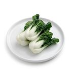Brightfarms Bok Choy Brassica (1 Pack) Approx. 300g