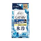 Gatsby Facial Wipes Ice Type 42 Sheets