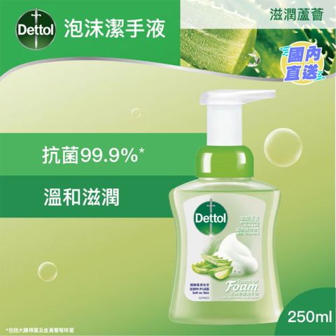 滴露 泡沬殺菌潔手液 滋潤蘆薈 250亳升