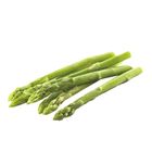 Thailand Asparagus 1 Pack [P] - 20660601