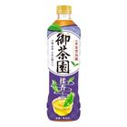 御茶園 台灣金萱鳥龍茶 550毫升 (新舊包裝隨機發貨)