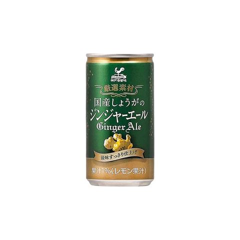 Tominaga Kobe Kyoryuchi Ginger Ale 185ml