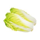 Brightfarms Baby Cabbage (1 Pack) Approx. 350g
