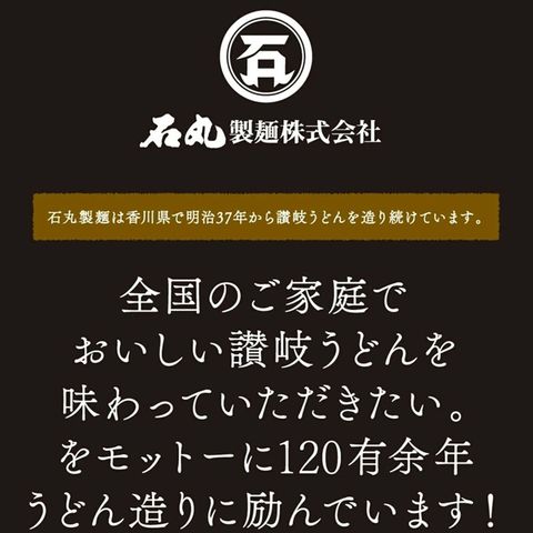 Ishimaru Noodle Sanuki Cold Made Somen 400g [Parallel Import]