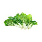 Brightfarms Bok Choy Brassica (Young) (1 Pack) Approx. 300g