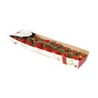 Netherlands Belgium Toma'dor Cherry Tomatoes Approx. 200g