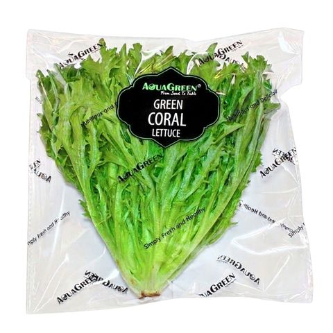 (Hydroponic) Aqua Green-Green Coral 1 pack approx. 120g
