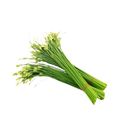Brightfarms Chinese Chives Flower 1 Pack Approx. 150g