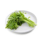 Brightfarms Crown Daisy 1 Pack approx. 200g