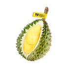 Thailand TP Chanee Durian 1pc