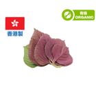 (本地有機) 住家菜 紫蘇葉 1包 約20克