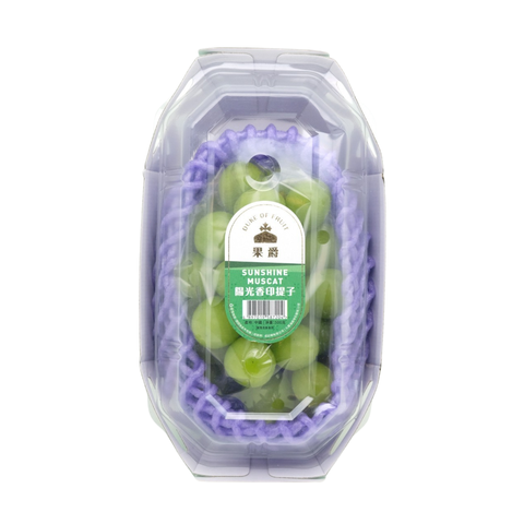 China Shine Muscat Grape (1 pack approx. 500g)