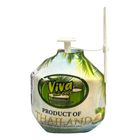 Viva Instant Thailand Coconut Water 1 Piece [Renewal / Old Packaging Random Delivery]